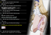 SS.png